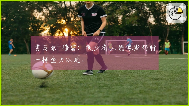 贾马尔-穆雷:很少有人能像斯玛特一样全力以赴。